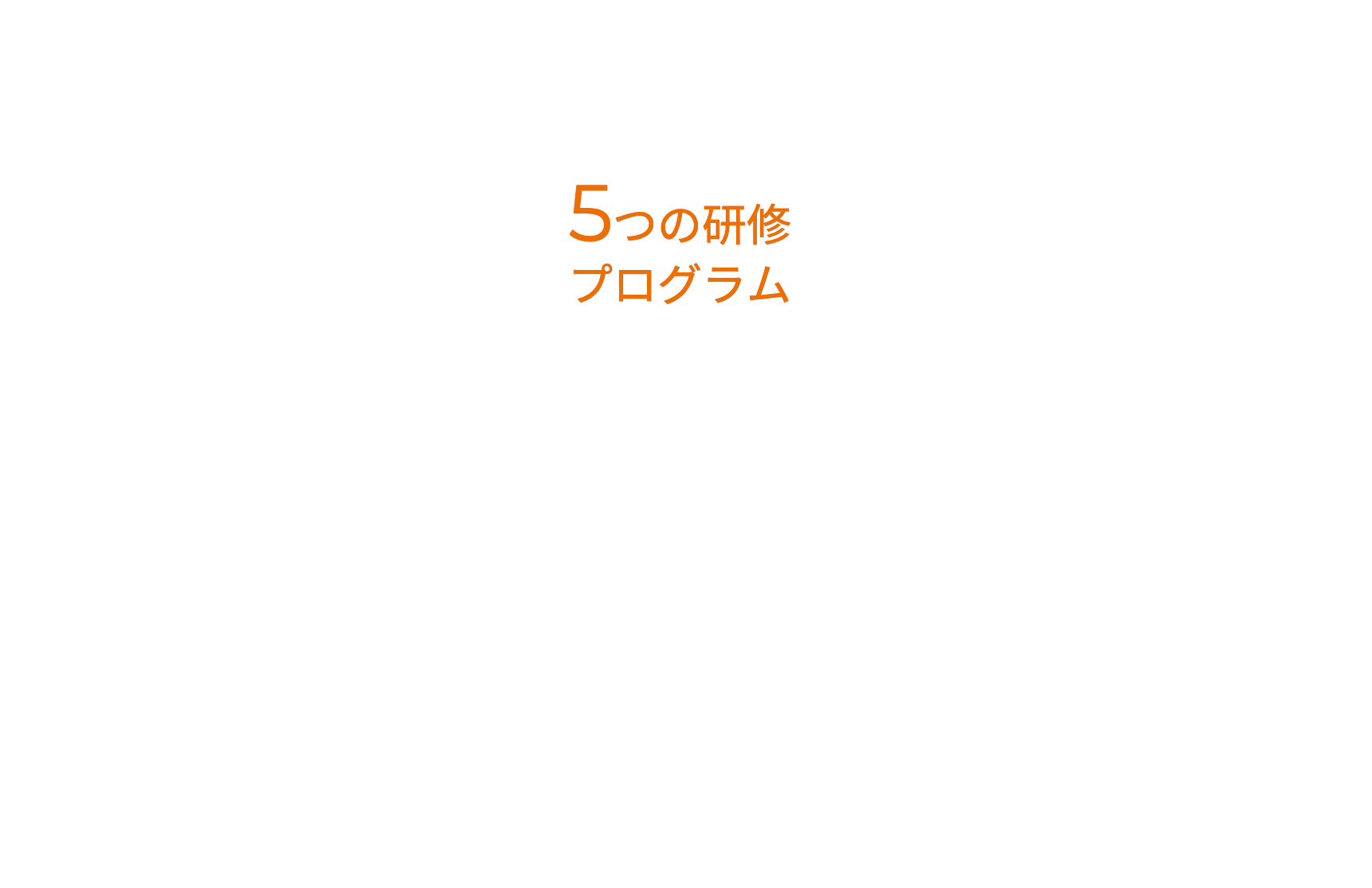 5つの研修プログラム